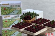 梦见白蛇高速赋能产业升级：一条“杨梅路”的致富密码
