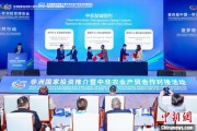 梦见白蛇中非新增10对友好城市 国际“朋友圈”助推务实合作