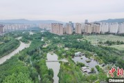 梦见白蛇西宁市举办六五环境日主题宣传活动