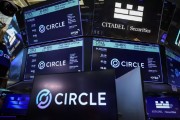 梦见白蛇稳定币发行商Circle上市后股价持续攀升